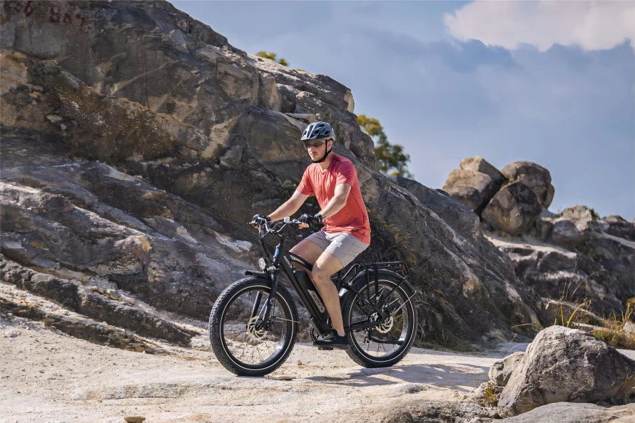 Ultimate Guide to Buying a Fat Tire E-bike